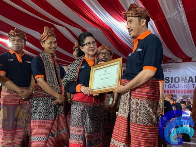 Selamat ! Selayar Raih Penghargaan Bebas Malaria dari Pemerintah RI