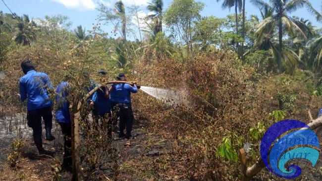 Kebakaran Lahan di Desa Polebungin, Berselang Satu Jam Kemudian Si Jago Merah di Padamkan