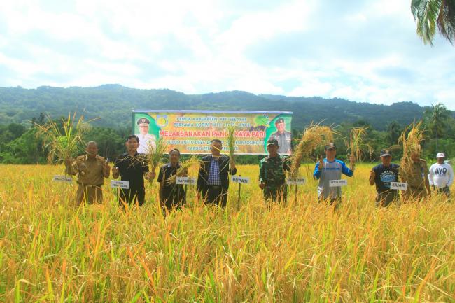 Bupati Kepulauan Selayar Bersama Forkopimda Panen Raya Padi di Buttu Kecamatan Bontosikuyu 