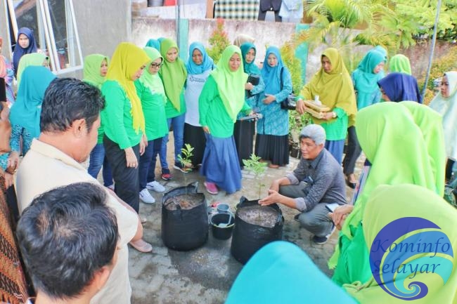 TP PKK Kerja Sama Dinas Pertanian KP Sosialisasi Pelestarian Jeruk Keprok Selayar